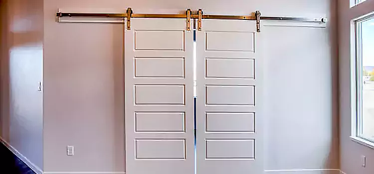 Glass Barn Door with Installation Hardware Kit Los Altos