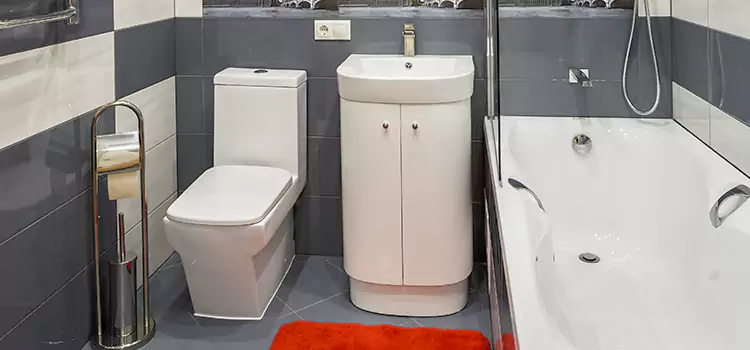 Hansgrohe Shaving Mirror Los Altos